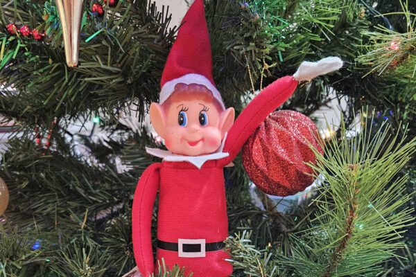 Steep House Residents and Staff Decorate Their Home With Christmas Cheer