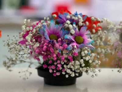 Flower Arranging Fun in Full Bloom at Oaklands House Care Centre