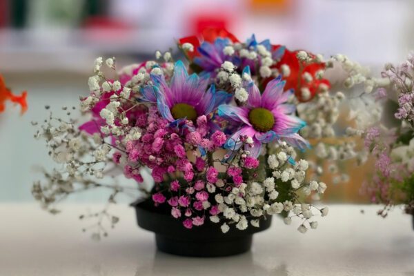 Flower Arranging Fun in Full Bloom at Oaklands House Care Centre