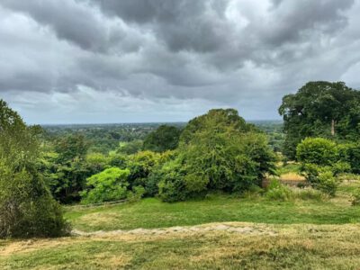 Brook House Residents Visit Richmond Park