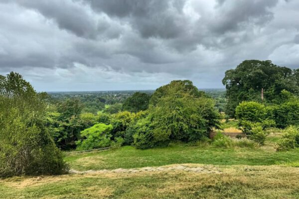 Brook House Residents Visit Richmond Park