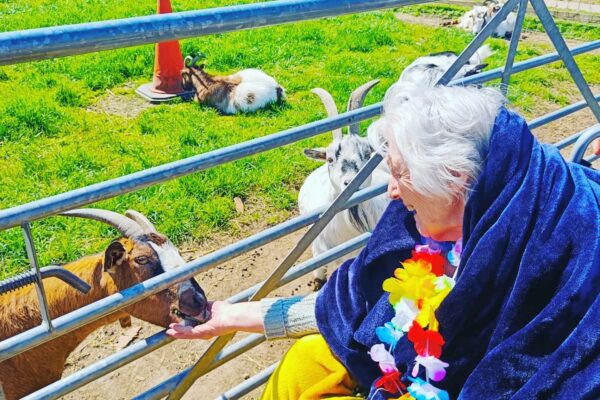 Hamilton Nursing Home’s Wonderful Visit to Hounslow Urban Farm