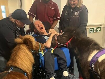 Therapy horses spread joy at Hillview Court