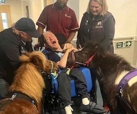 Therapy horses spread joy at Hillview Court